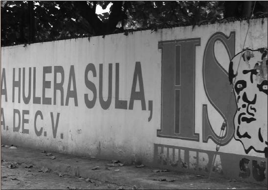 Por dos meses suspenden contratos a 240 trabajadores de Hulera de Sula